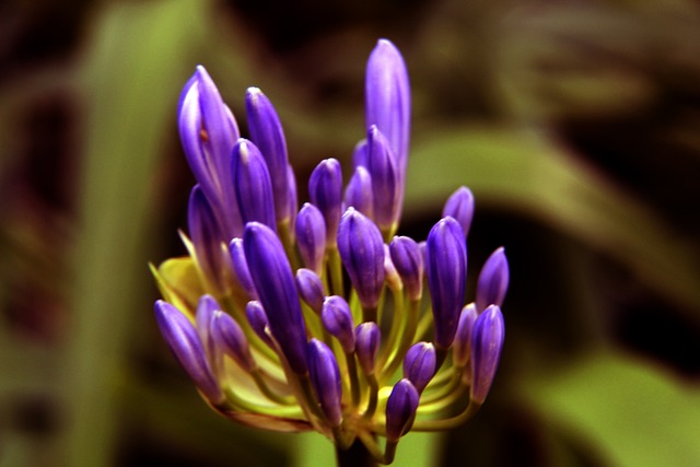 体协作能力 体协作能力