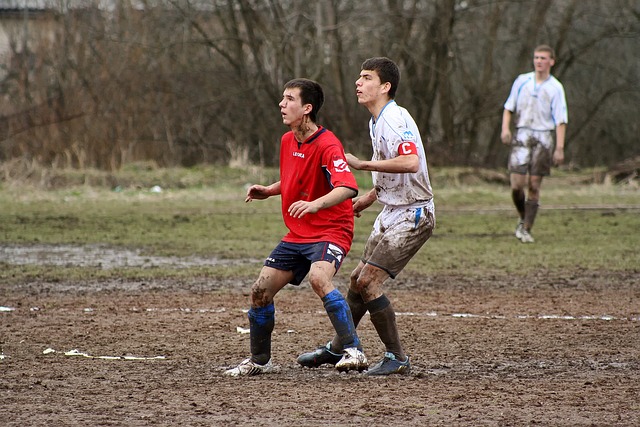 线上的支柱 线上的支柱