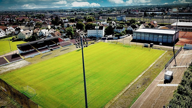 战斗中奠定 战斗中奠定