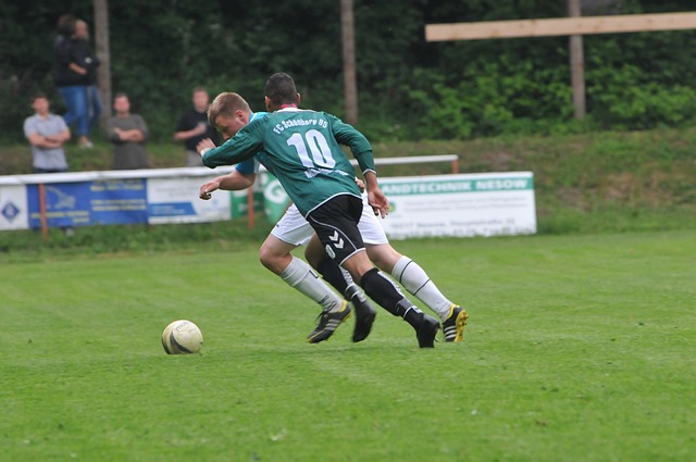 去几年里逐 去几年里逐