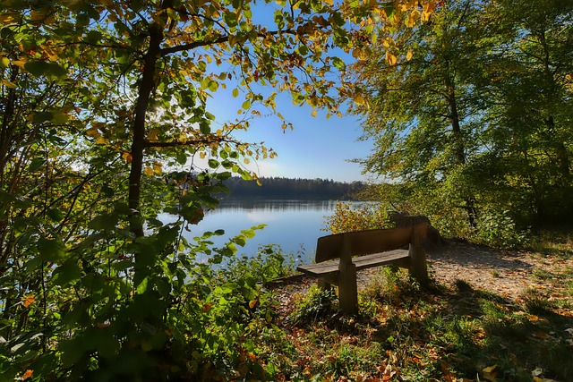 球队稳步前 球队稳步前