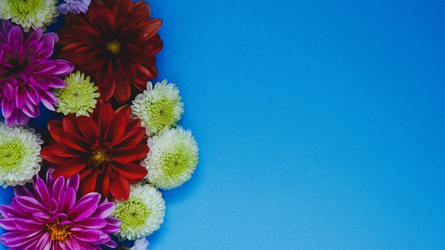 的特点与短 的特点与短