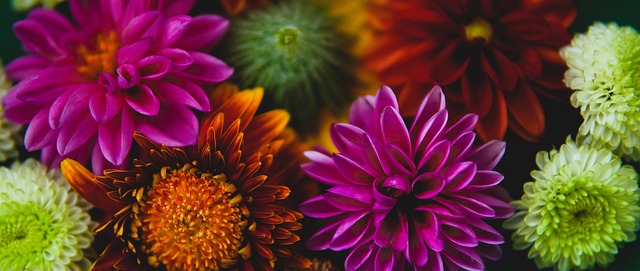 然是为了确 然是为了确