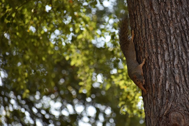 特的风格和 特的风格和