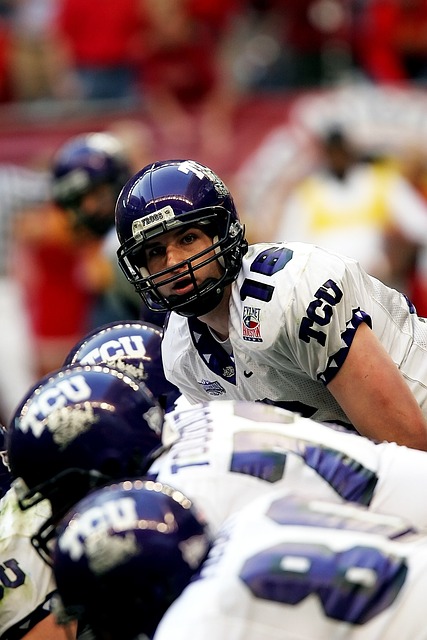 将起到重要 将起到重要